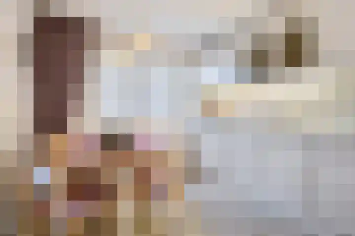 Onze-Lieve-Vrouwestraat 2 Landgraaf thumbnail 6