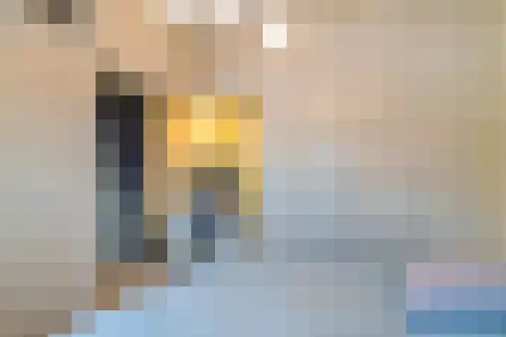 Onze-Lieve-Vrouwestraat 2 Landgraaf thumbnail 9