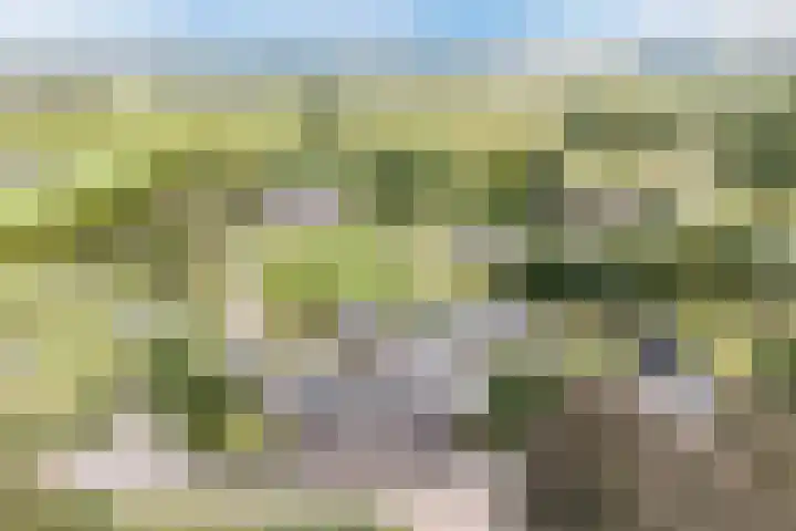 Onze Lieve Vrouwestraat 220 Zegge thumbnail 10
