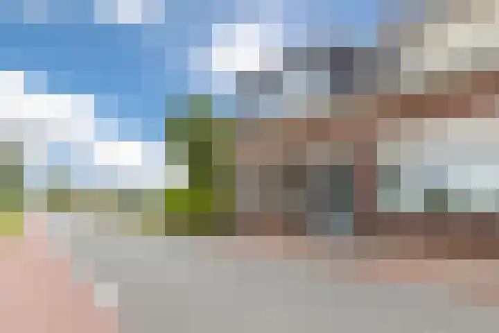 Onze Lieve Vrouwestraat 220 Zegge thumbnail 11