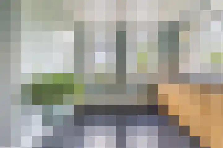 Onze Lieve Vrouwestraat 220 Zegge thumbnail 15