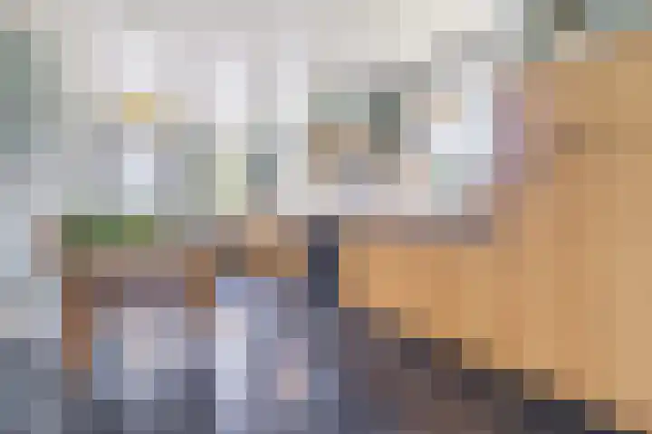 Onze Lieve Vrouwestraat 220 Zegge thumbnail 16