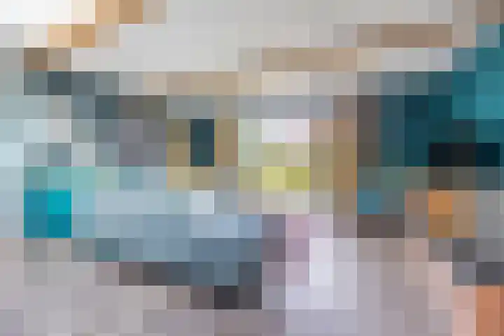 Onze Lieve Vrouwestraat 220 Zegge thumbnail 21