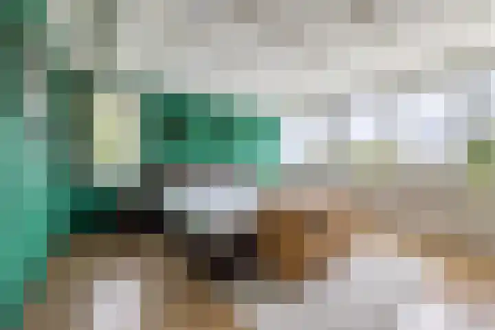 Onze Lieve Vrouwestraat 220 Zegge thumbnail 34