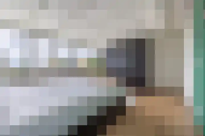 Onze Lieve Vrouwestraat 220 Zegge thumbnail 35
