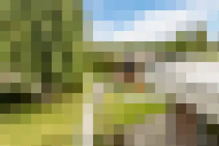 Onze Lieve Vrouwestraat 220 Zegge thumbnail 43