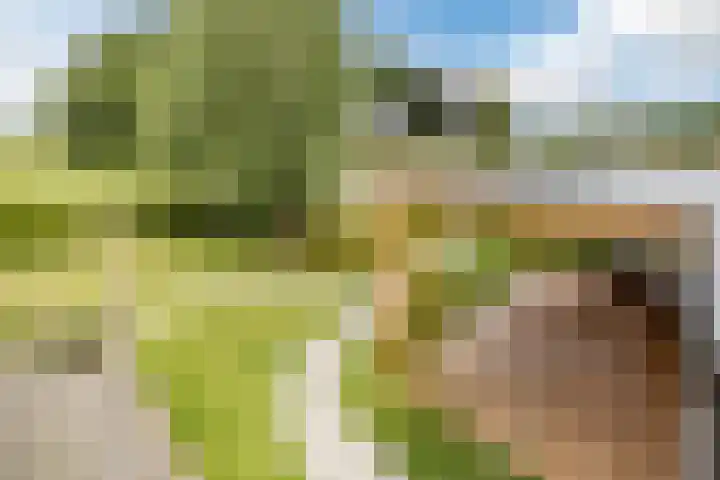 Onze Lieve Vrouwestraat 220 Zegge thumbnail 45