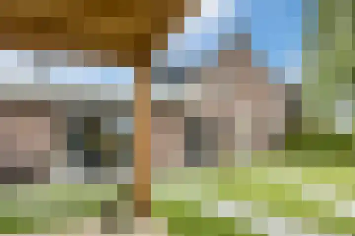 Onze Lieve Vrouwestraat 220 Zegge thumbnail 48