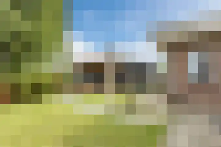 Onze Lieve Vrouwestraat 220 Zegge thumbnail 49