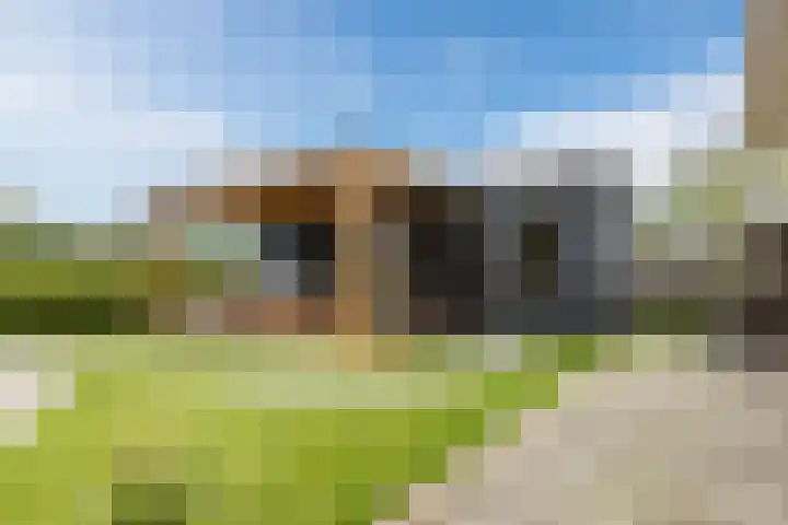 Onze Lieve Vrouwestraat 220 Zegge thumbnail 50