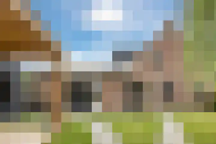 Onze Lieve Vrouwestraat 220 Zegge thumbnail 51