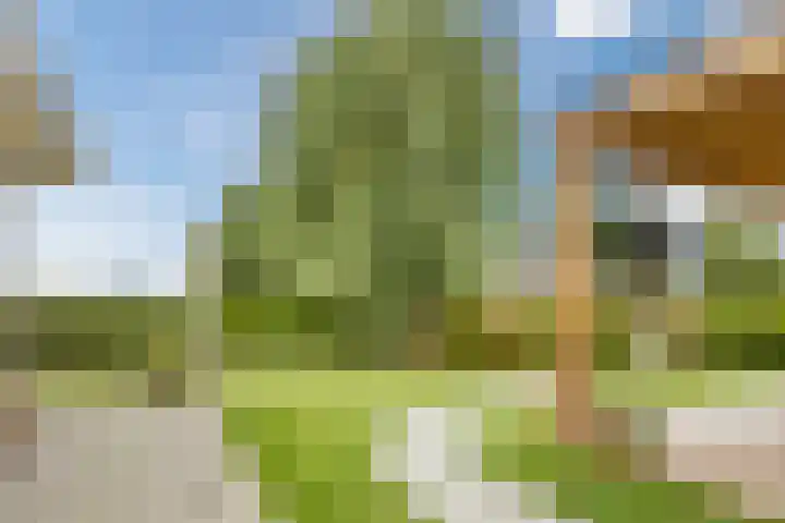 Onze Lieve Vrouwestraat 220 Zegge thumbnail 52