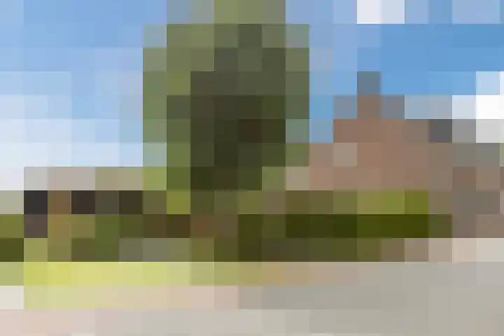 Onze Lieve Vrouwestraat 220 Zegge thumbnail 53