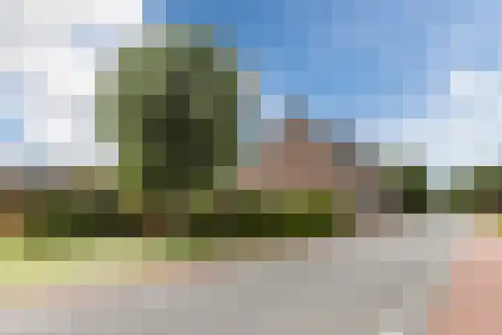 Onze Lieve Vrouwestraat 220 Zegge thumbnail 54