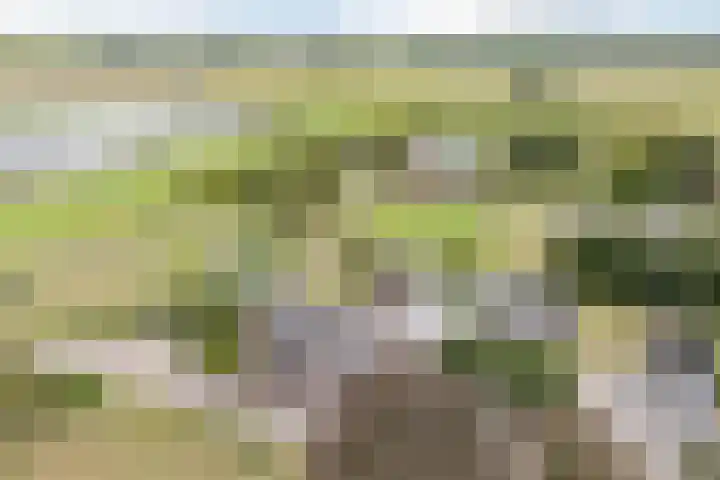 Onze Lieve Vrouwestraat 220 Zegge thumbnail 55
