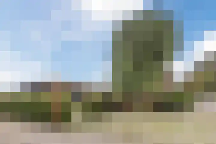 Onze Lieve Vrouwestraat 220 Zegge thumbnail 58