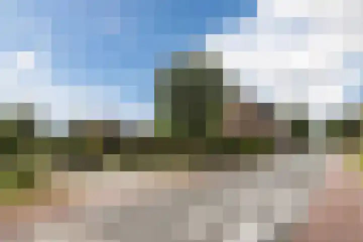 Onze Lieve Vrouwestraat 220 Zegge thumbnail 59