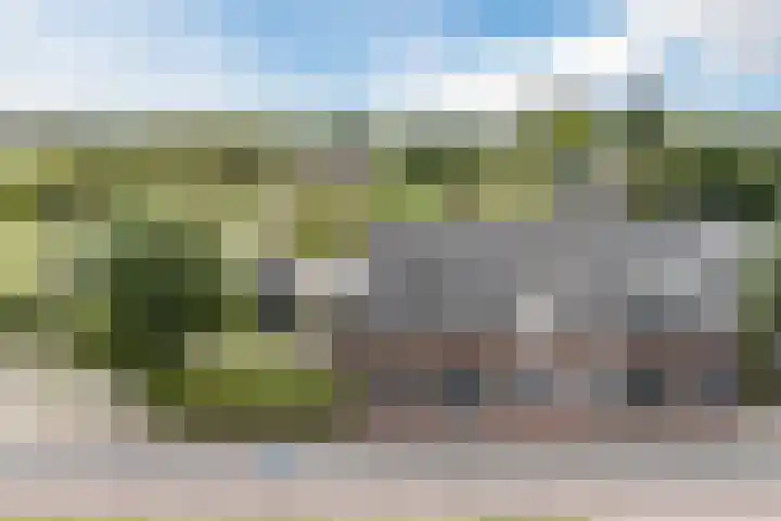 Onze Lieve Vrouwestraat 220 Zegge thumbnail 6