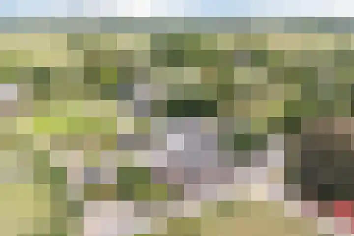 Onze Lieve Vrouwestraat 220 Zegge thumbnail 8
