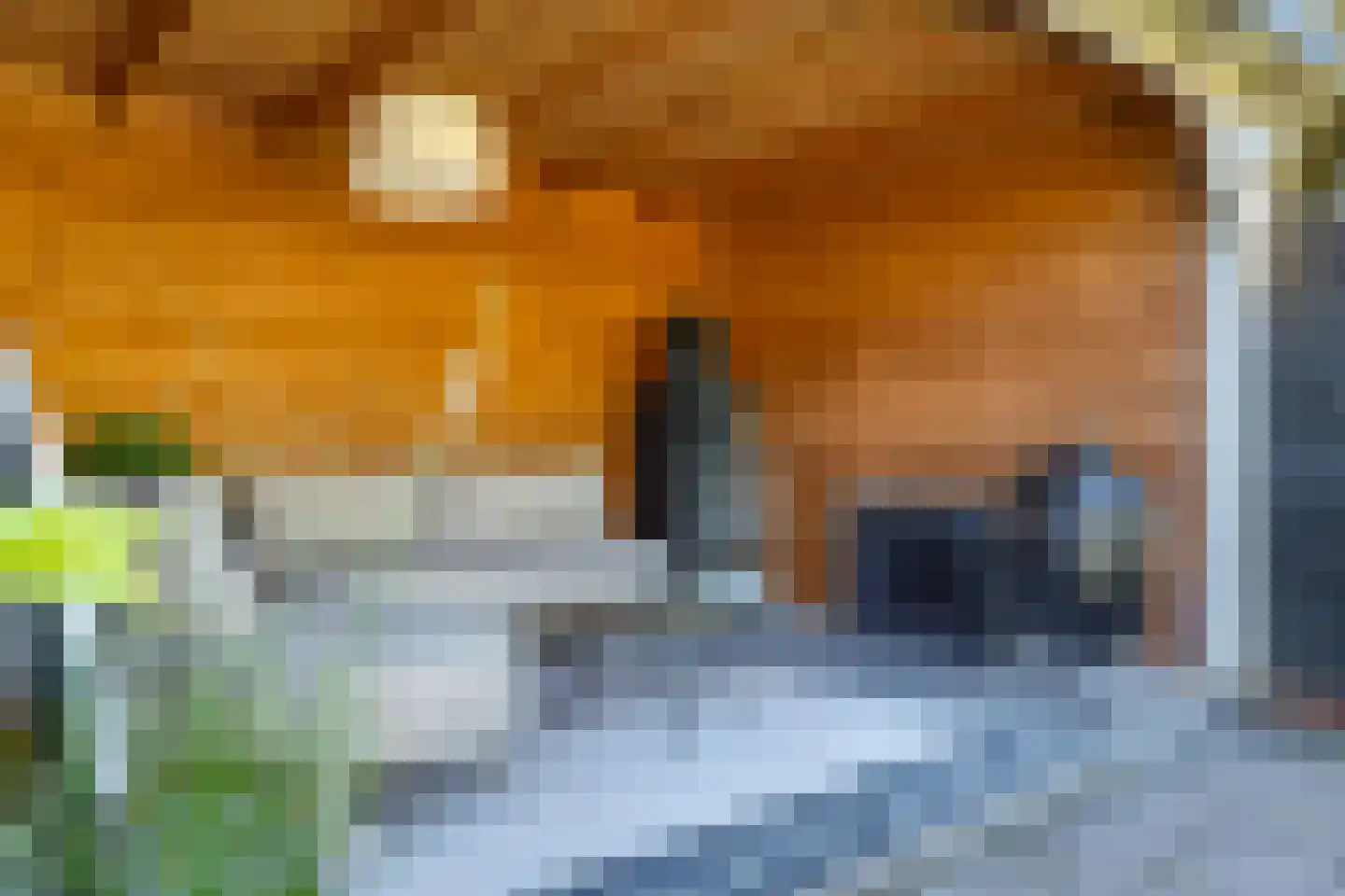Onze Lieve Vrouwestraat 29 Heteren thumbnail 12