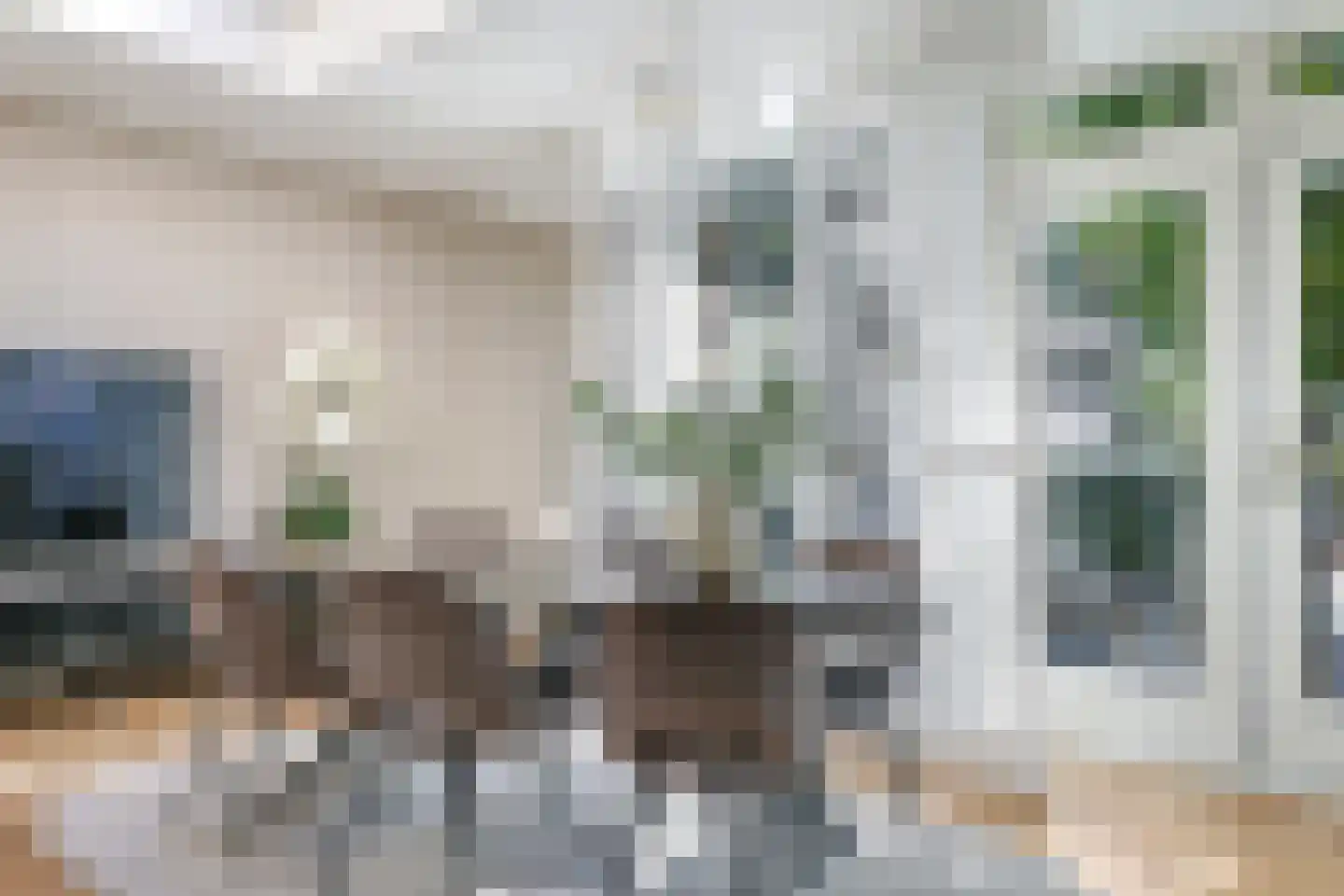 Onze Lieve Vrouwestraat 29 Heteren thumbnail 30