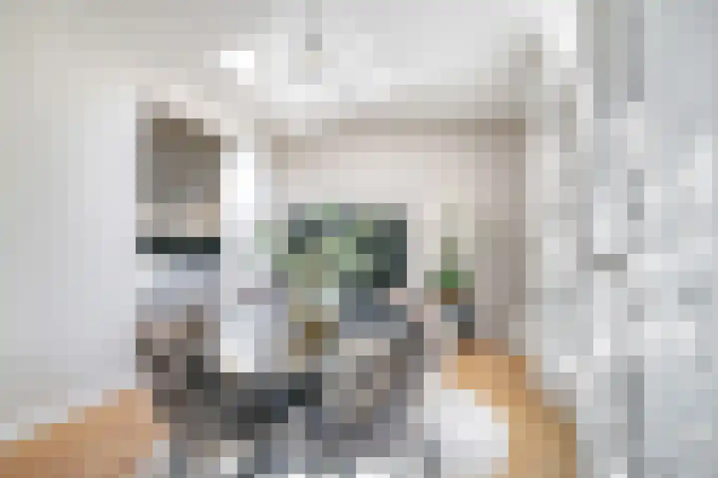 Onze Lieve Vrouwestraat 29 Heteren thumbnail 32