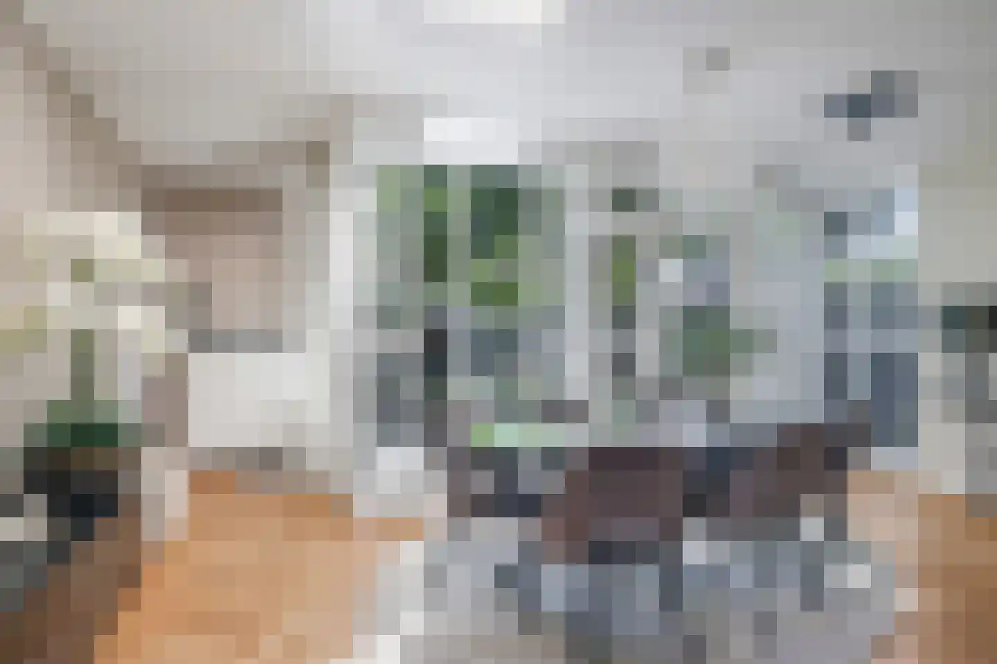 Onze Lieve Vrouwestraat 29 Heteren thumbnail 41