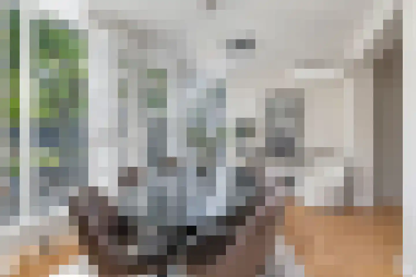 Onze Lieve Vrouwestraat 29 Heteren thumbnail 43