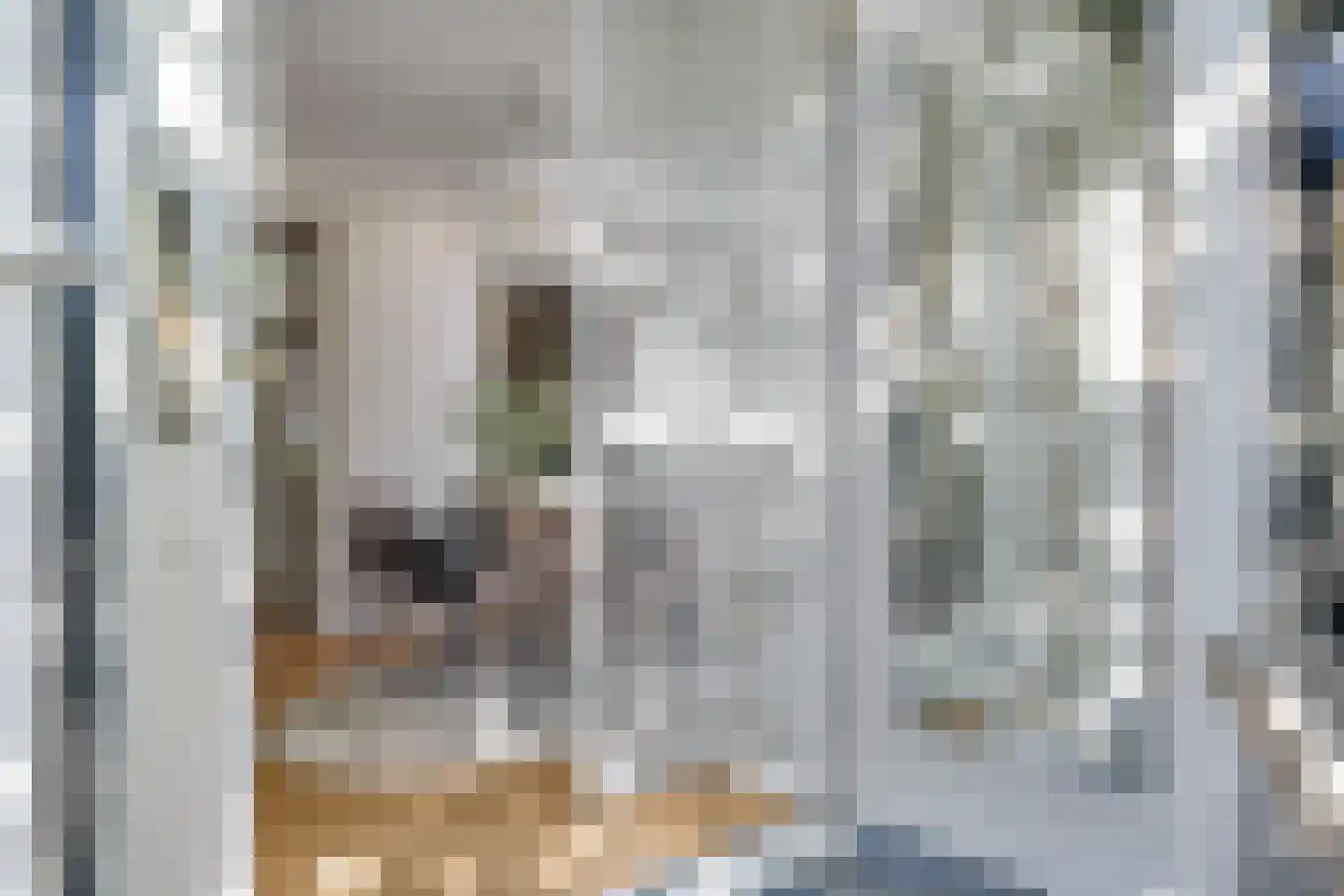 Onze Lieve Vrouwestraat 29 Heteren thumbnail 45