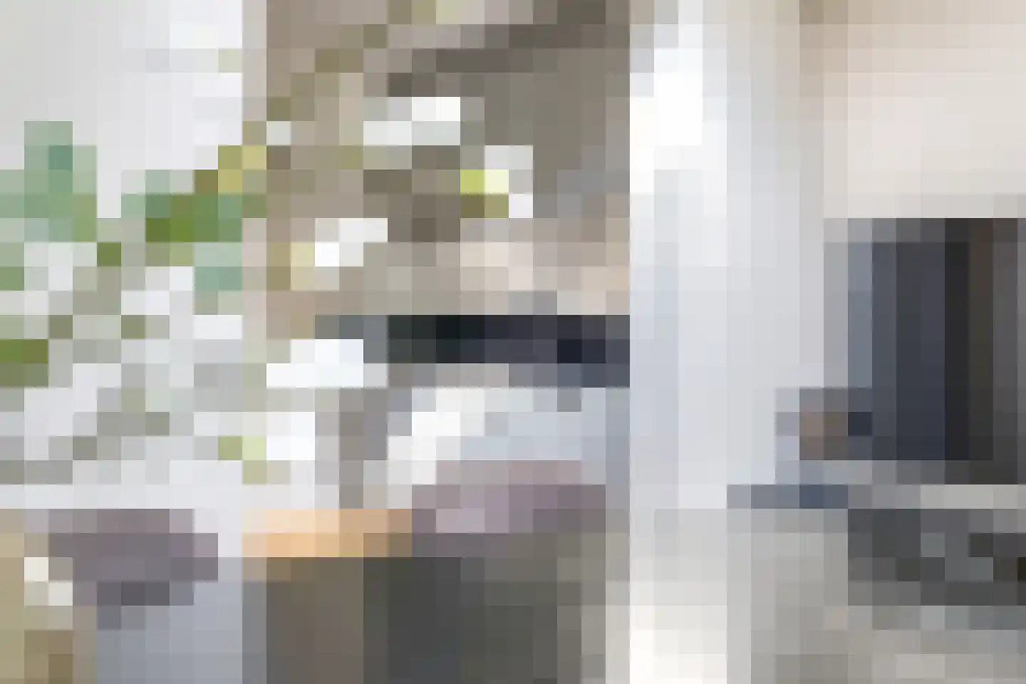 Onze Lieve Vrouwestraat 29 Heteren thumbnail 46