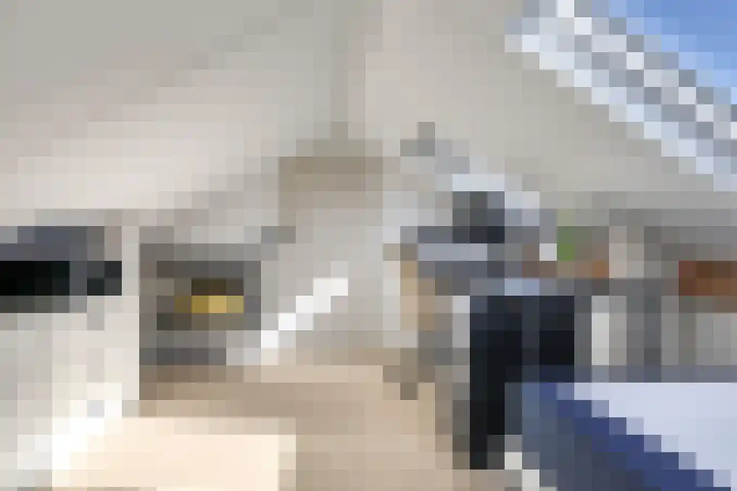 Onze Lieve Vrouwestraat 29 Heteren thumbnail 64