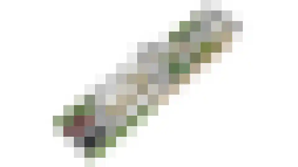 Onze Lieve Vrouwestraat 29 Heteren thumbnail 69