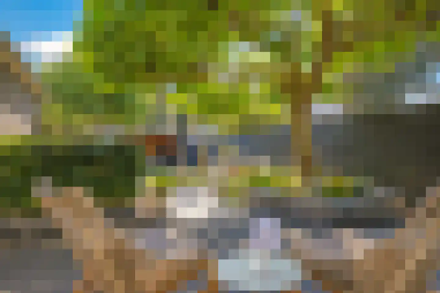 Onze Lieve Vrouwestraat 29 Heteren thumbnail 71