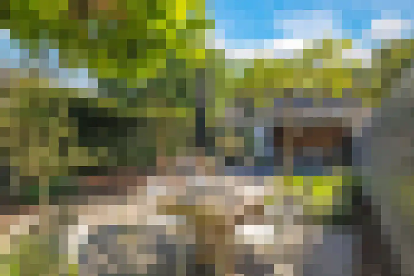 Onze Lieve Vrouwestraat 29 Heteren thumbnail 75