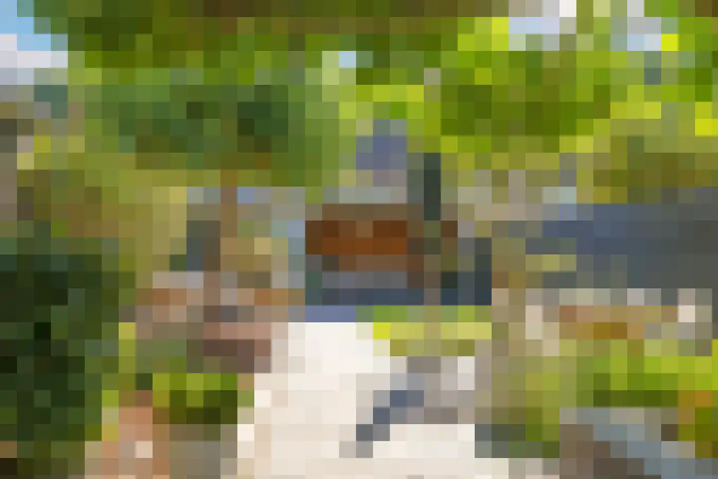Onze Lieve Vrouwestraat 29 Heteren thumbnail 78