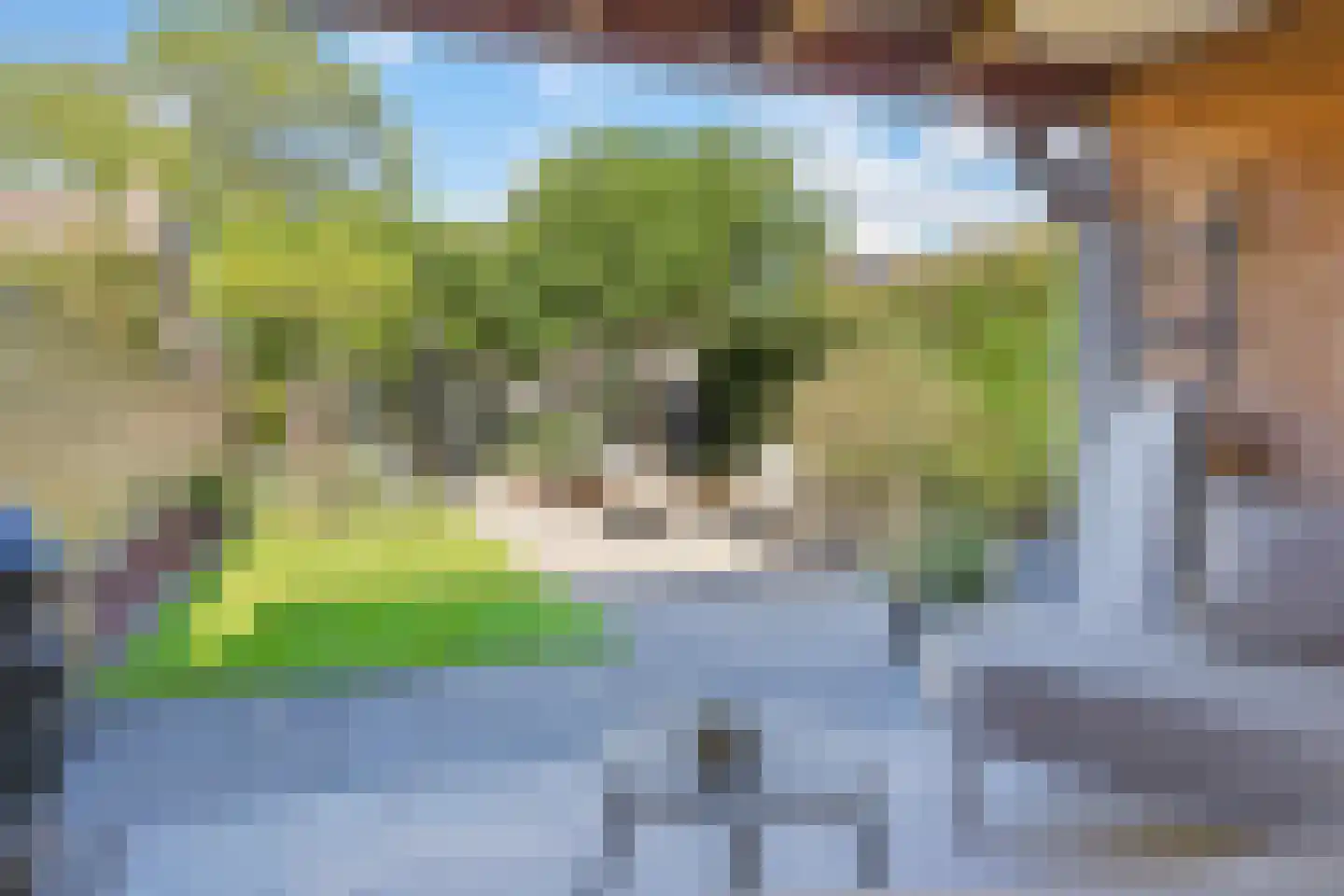 Onze Lieve Vrouwestraat 29 Heteren thumbnail 83