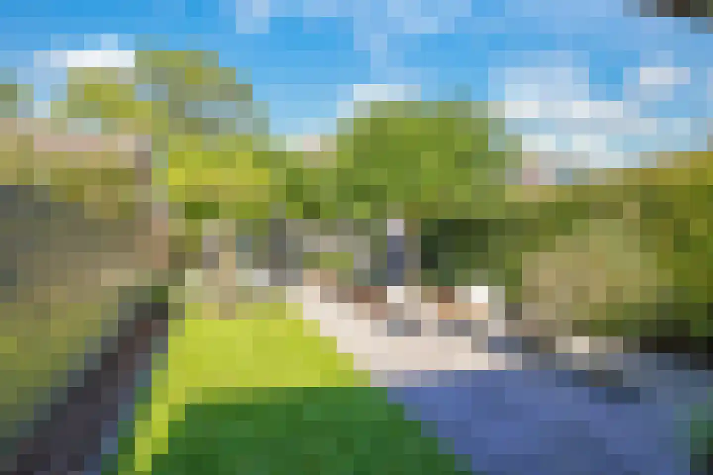 Onze Lieve Vrouwestraat 29 Heteren thumbnail 84