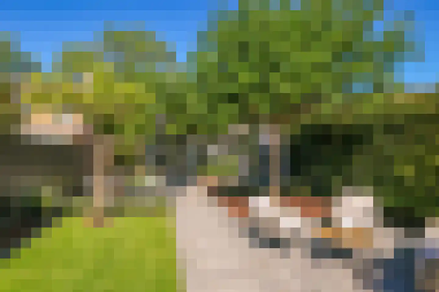 Onze Lieve Vrouwestraat 29 Heteren thumbnail 85