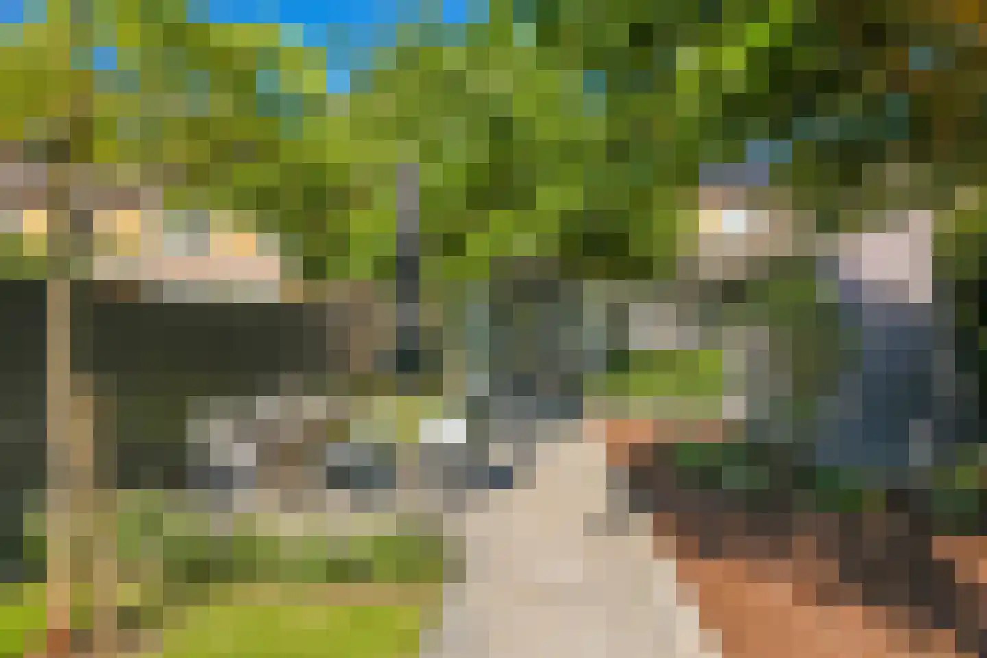 Onze Lieve Vrouwestraat 29 Heteren thumbnail 87