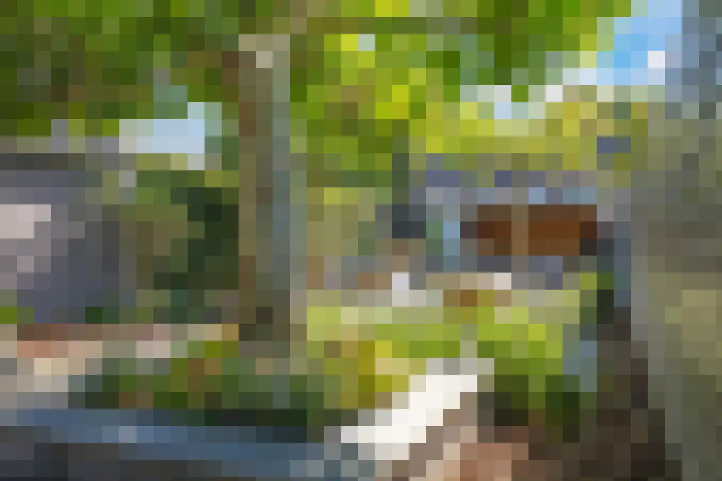 Onze Lieve Vrouwestraat 29 Heteren thumbnail 88