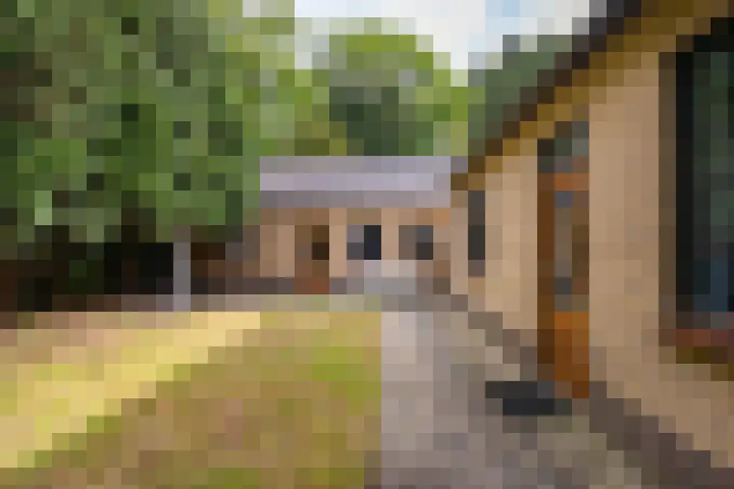 Onze Lieve Vrouwestraat 33 Zegge thumbnail 28