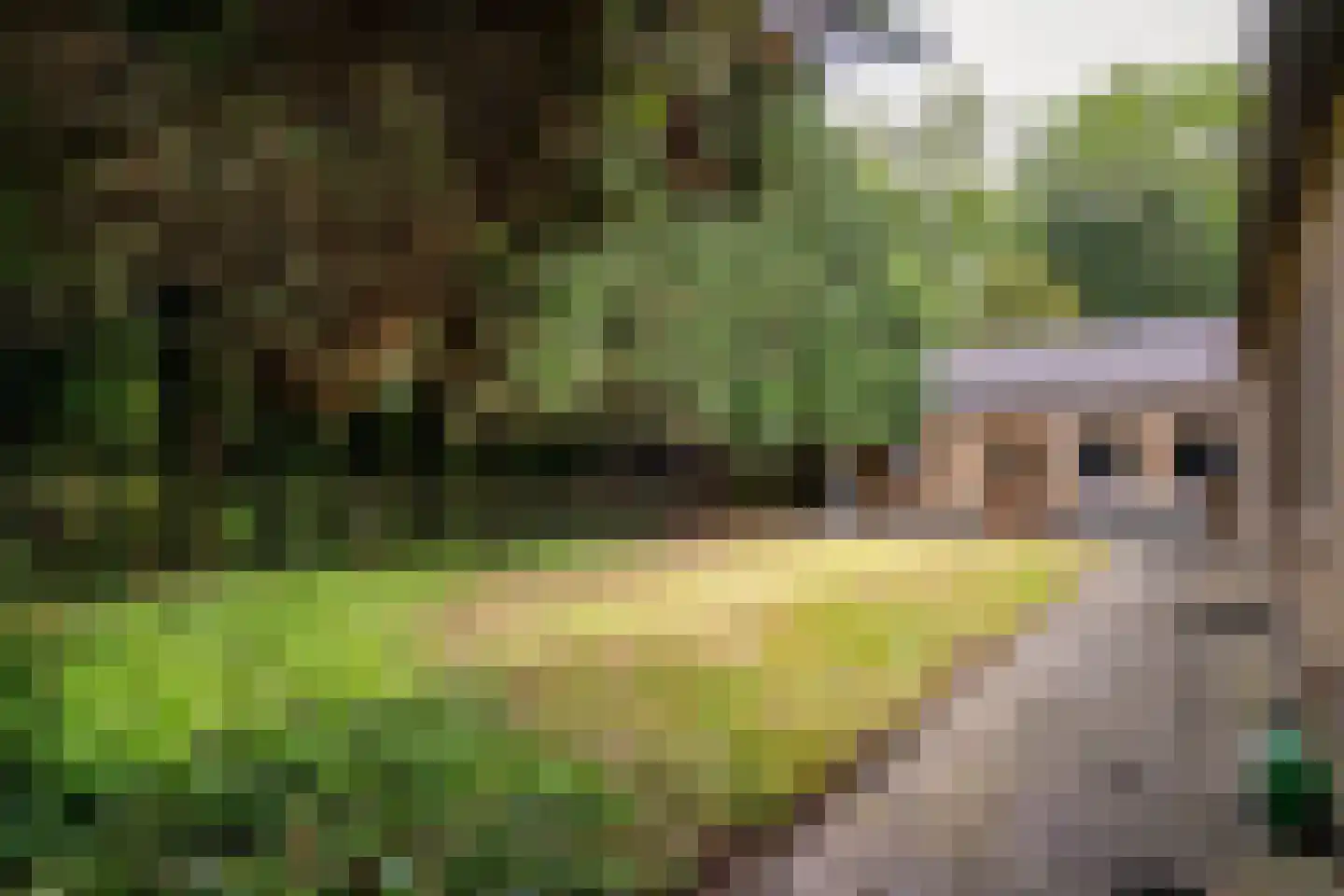 Onze Lieve Vrouwestraat 33 Zegge thumbnail 29