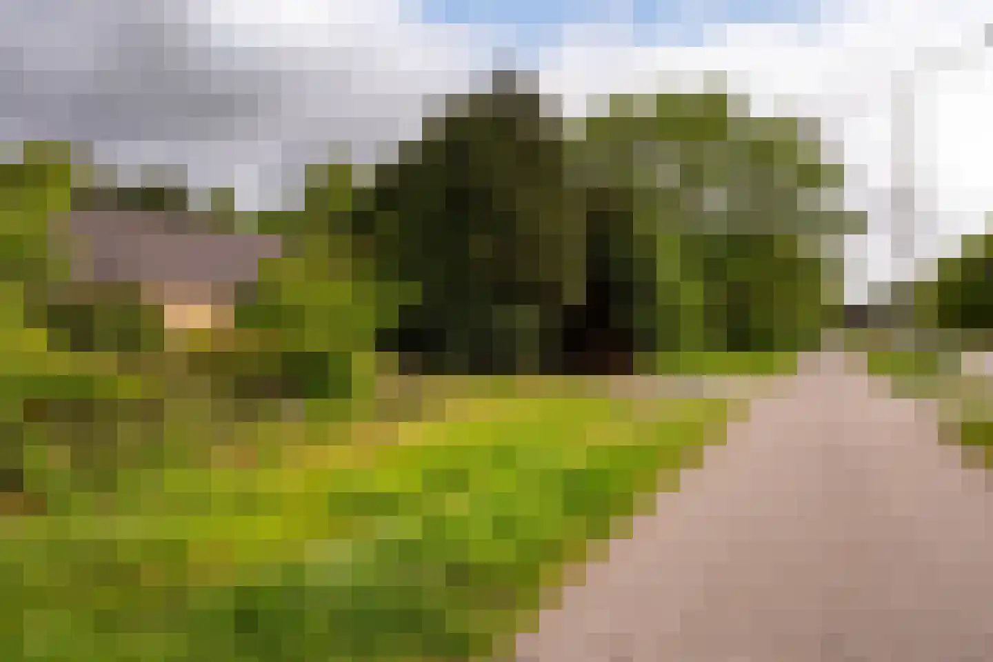 Onze Lieve Vrouwestraat 33 Zegge thumbnail 31