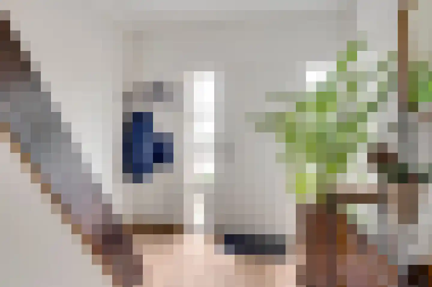 Onze Lieve Vrouwestraat 37 Ospel thumbnail 12