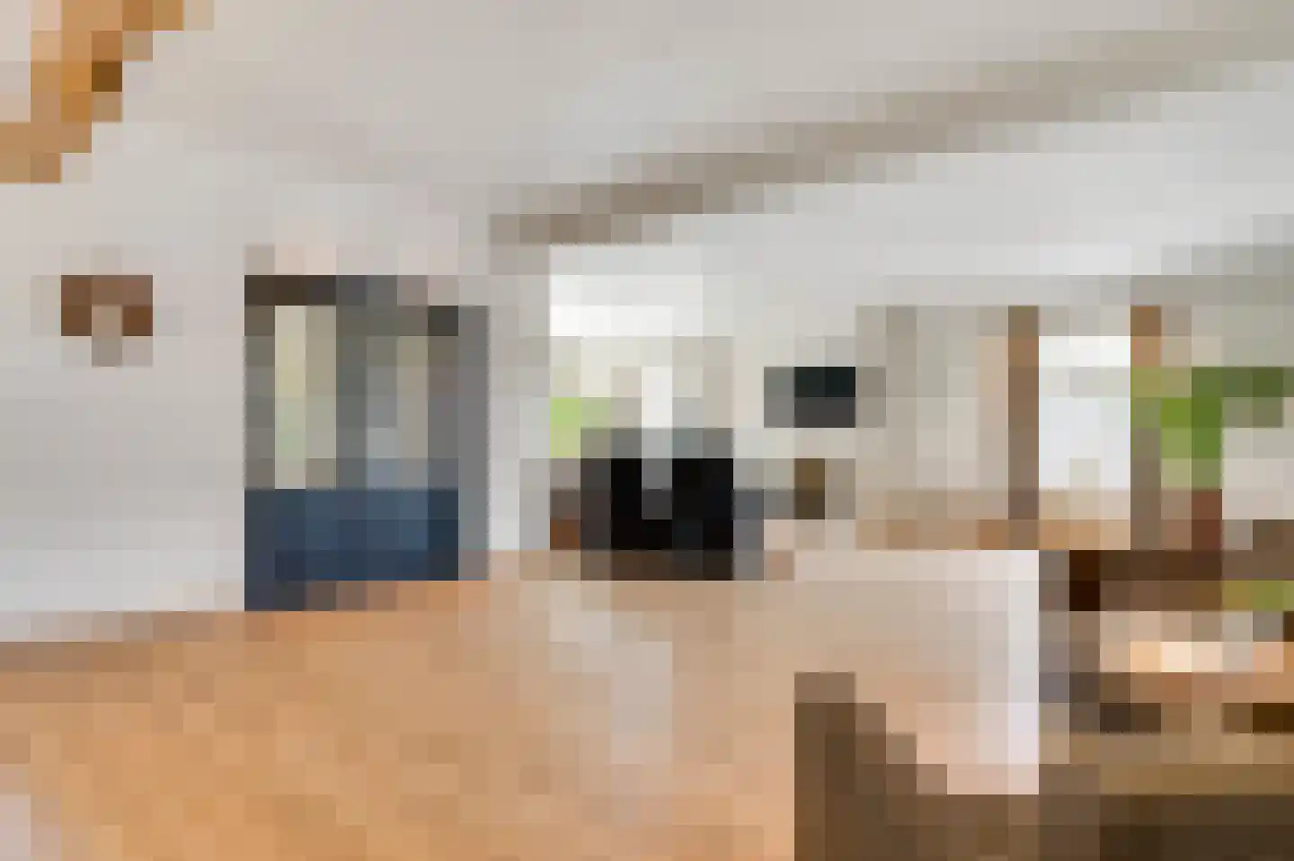 Onze Lieve Vrouwestraat 37 Ospel thumbnail 15