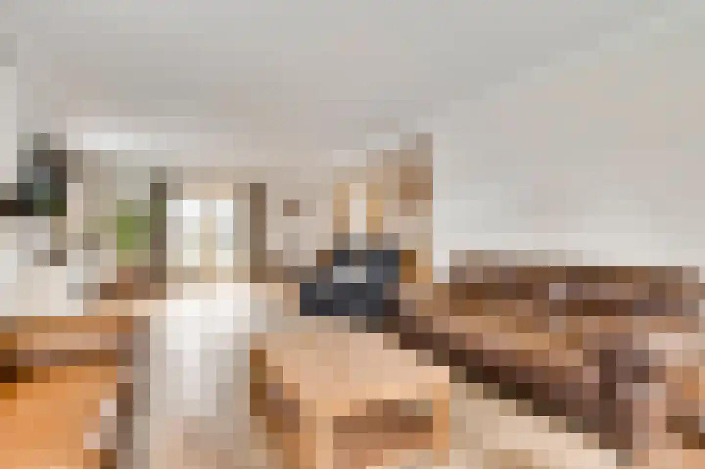 Onze Lieve Vrouwestraat 37 Ospel thumbnail 17