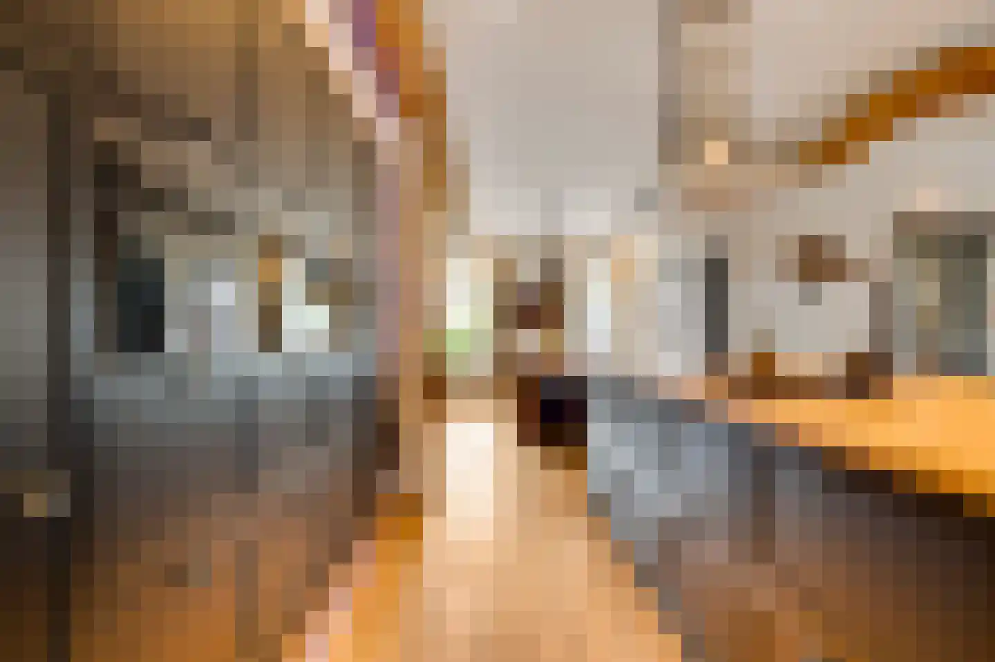 Onze Lieve Vrouwestraat 37 Ospel thumbnail 21