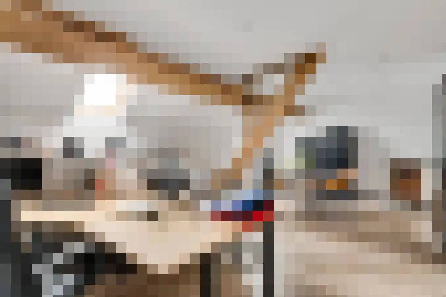 Onze Lieve Vrouwestraat 37 Ospel thumbnail 58