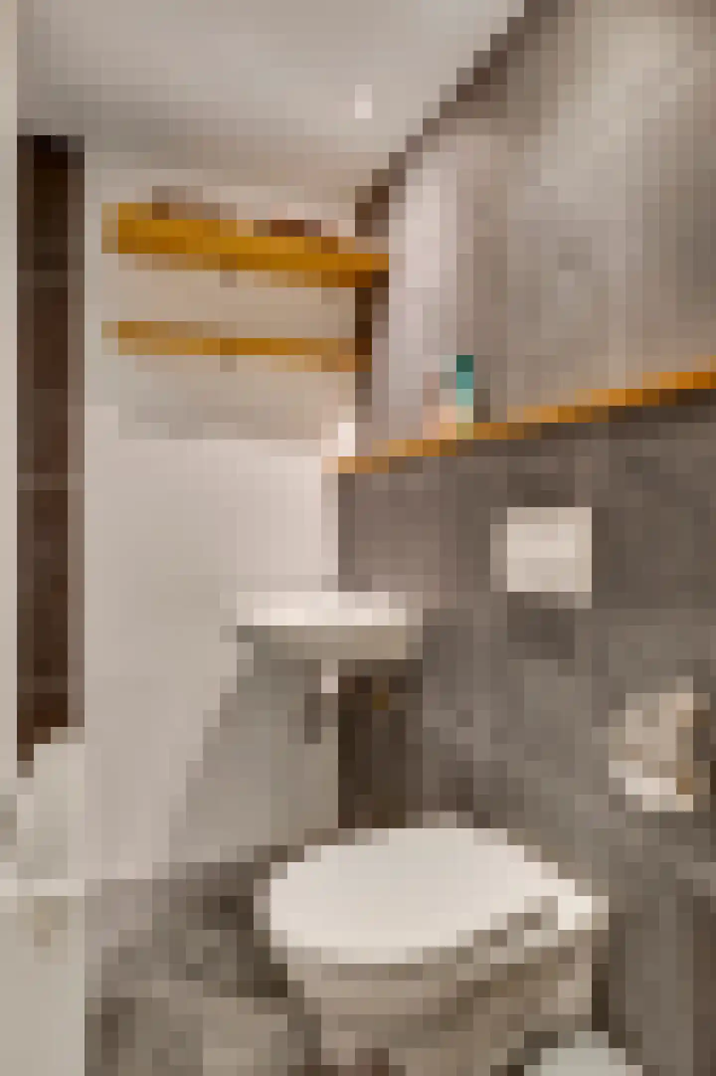Onze Lieve Vrouwestraat 37 Ospel thumbnail 64