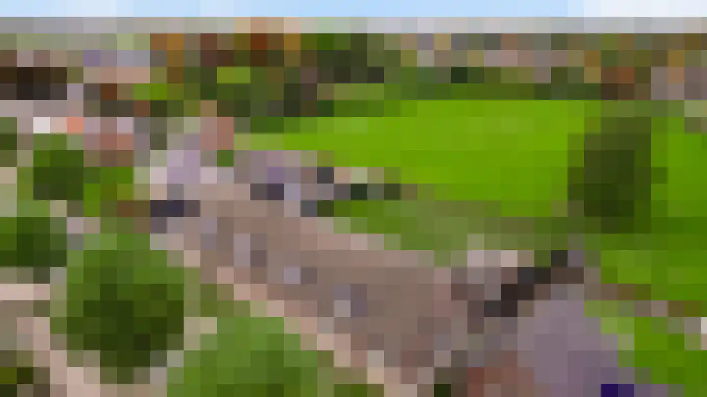 Onze Lieve Vrouwestraat 37 Ospel thumbnail 73